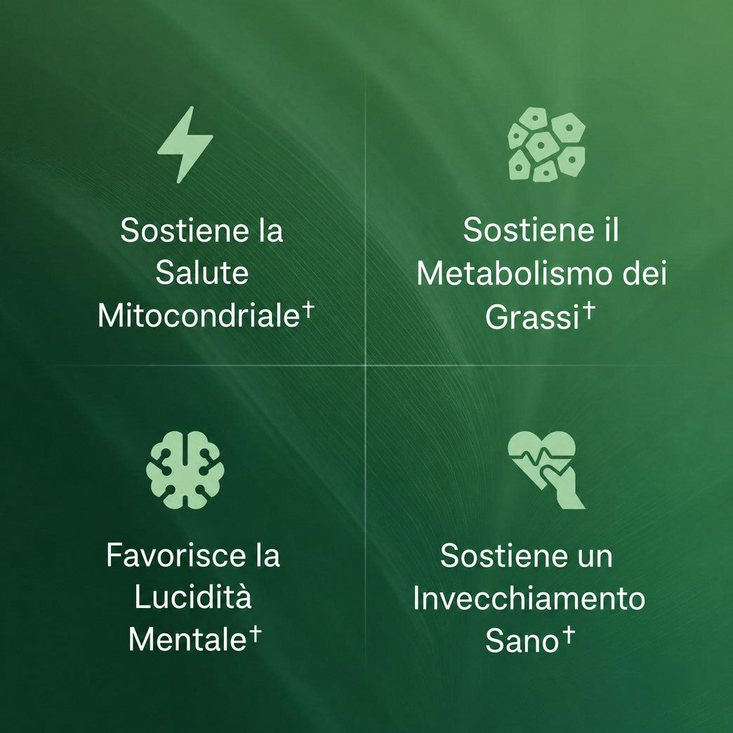 MARLUPS Amla Estratto di Superfrutto